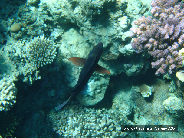 photo 2012811