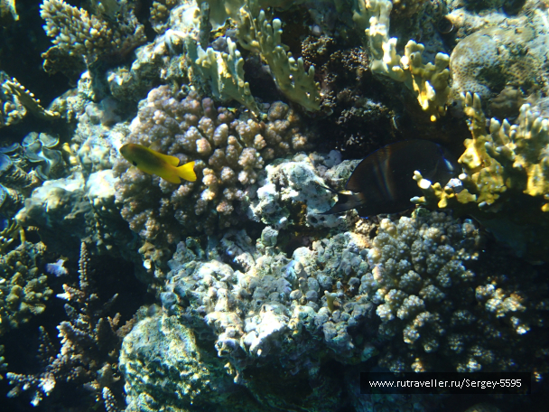 photo 2013634
