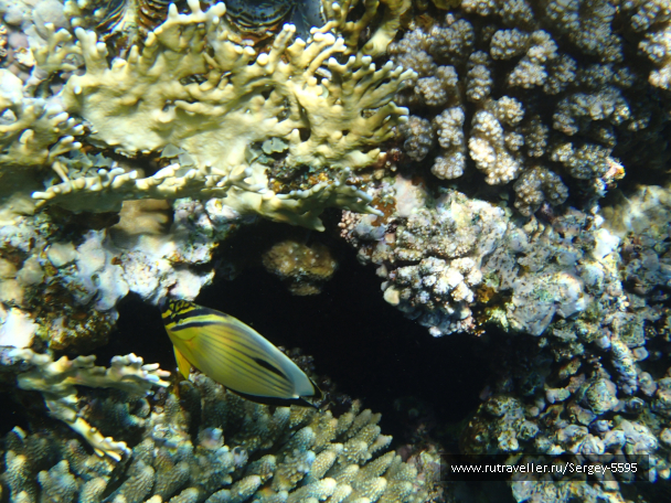photo 2013802