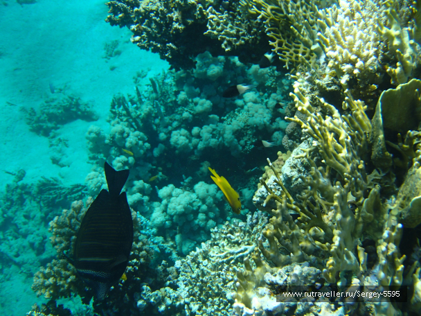 photo 2014053