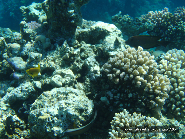 photo 2014742