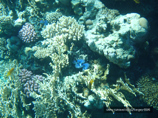 photo 2015779