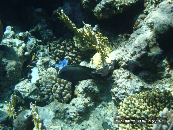 photo 2016298