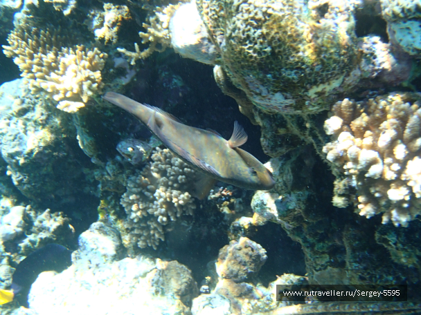 photo 2016674