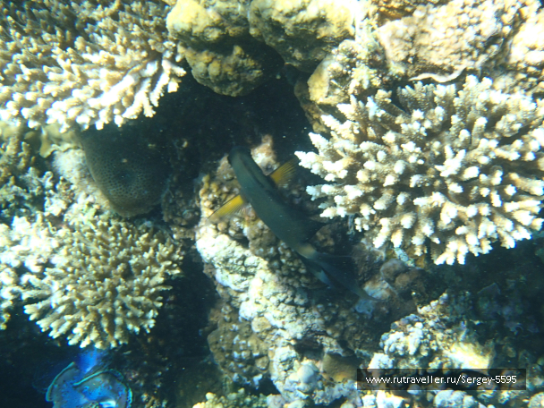 photo 2022827
