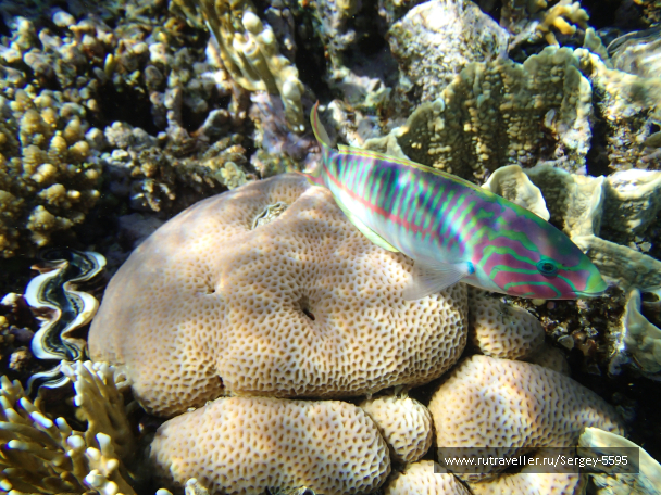 photo 2024564