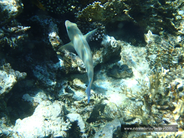 photo 2027135