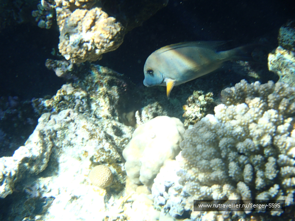 photo 2028132
