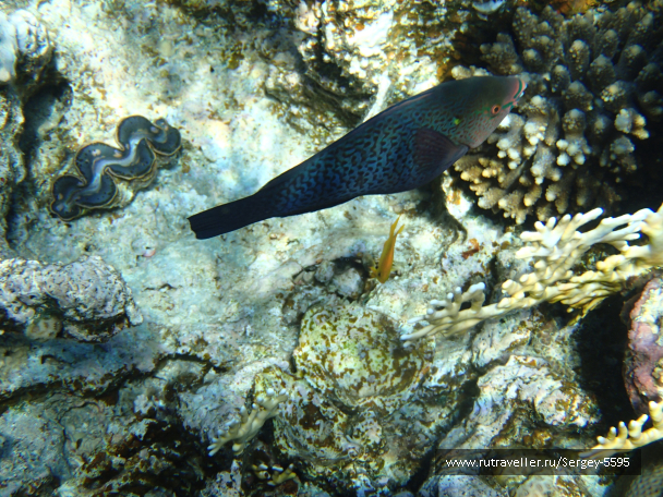 photo 2028478