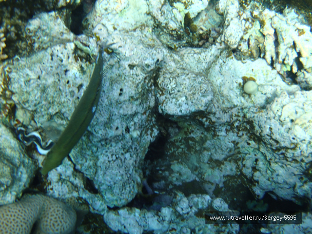 photo 2028759