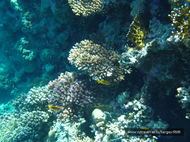photo 2033587
