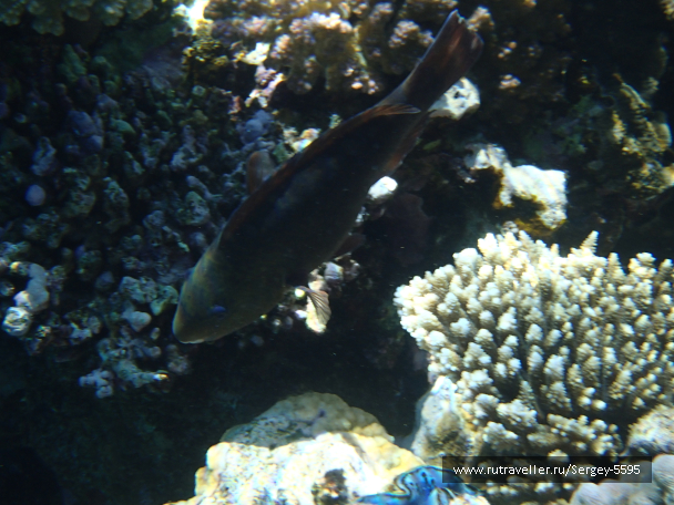 photo 2034173