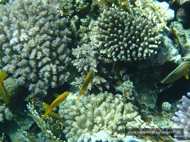 photo 2034286
