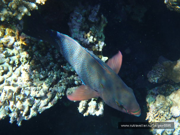 photo 2034853