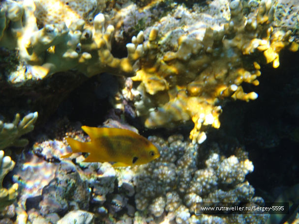 photo 2034906