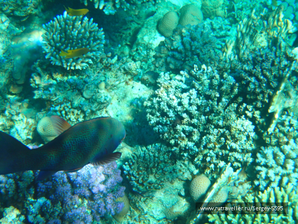 photo 2037067