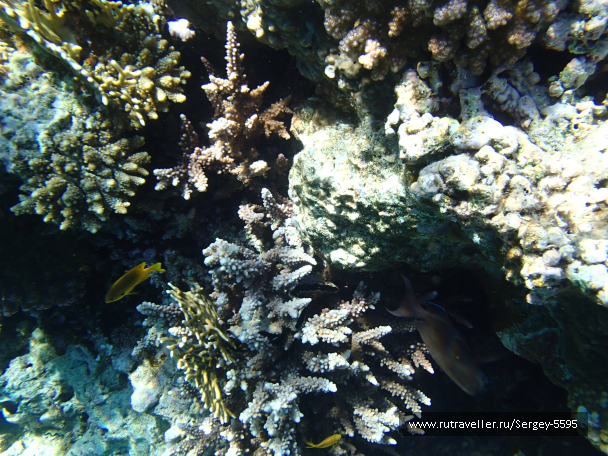 photo 2038102
