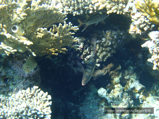 photo 2038309