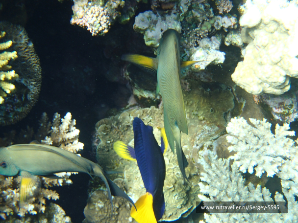 photo 2038432