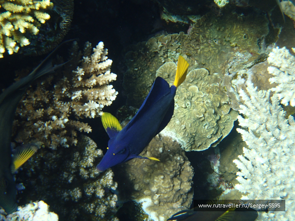 photo 2038524