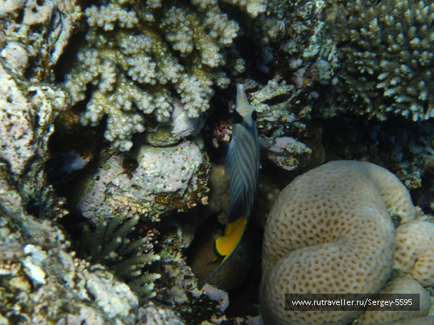 photo 2038612