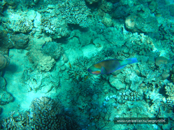 photo 2039155