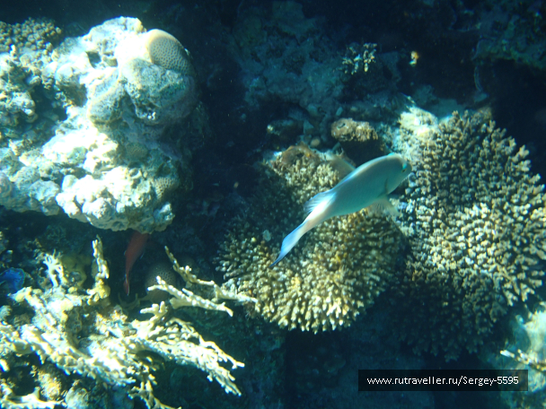 photo 2039263