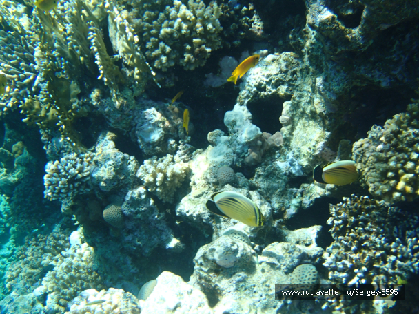 photo 2039436