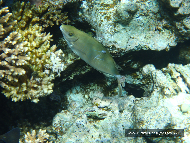 photo 2042886