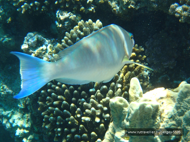 photo 2042965