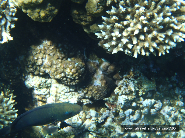 photo 2043254
