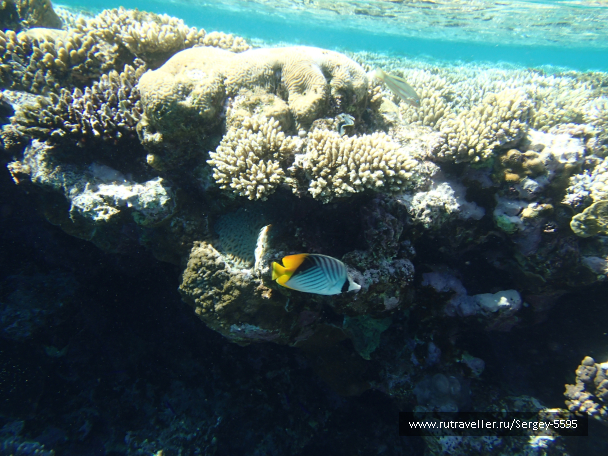 photo 2043517