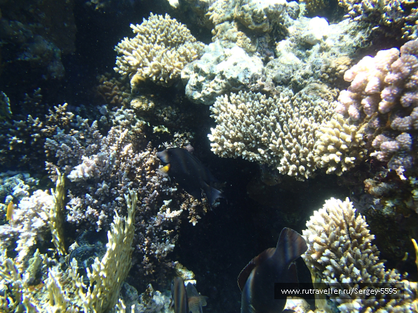 photo 2044997