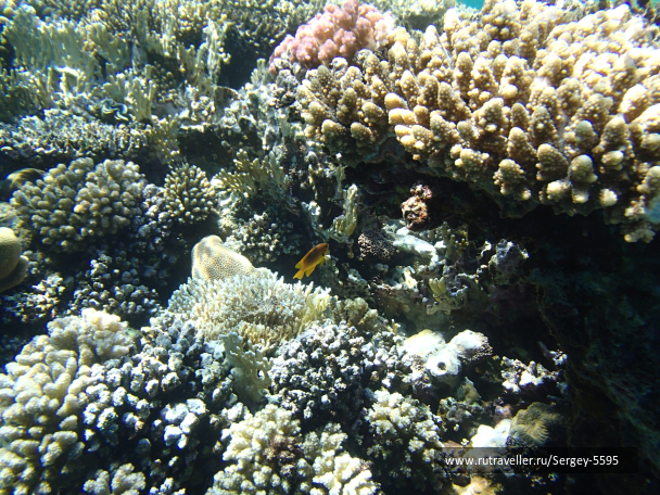 photo 2045352