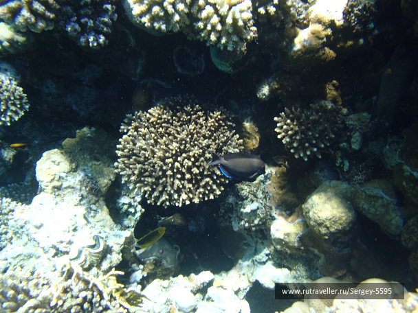photo 2045551