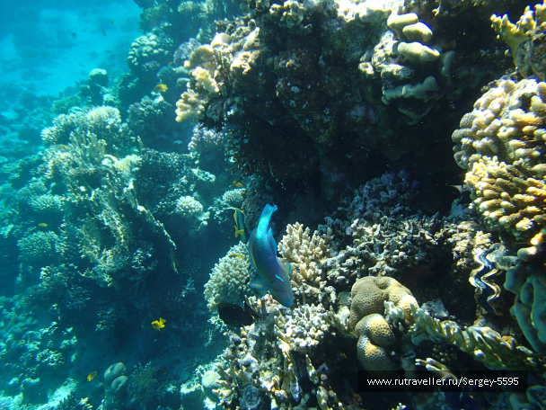 photo 2045655