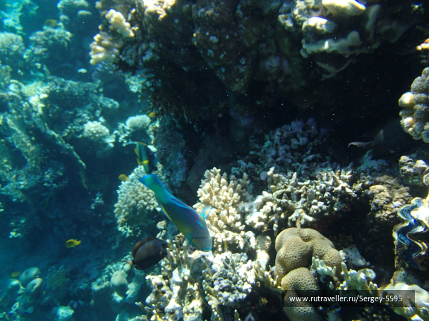 photo 2045782