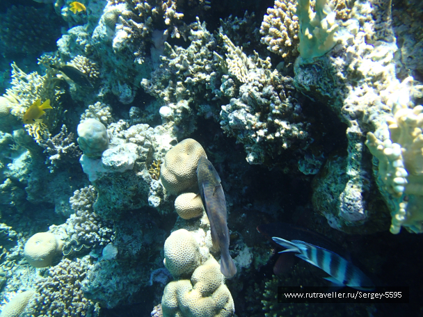 photo 2046570