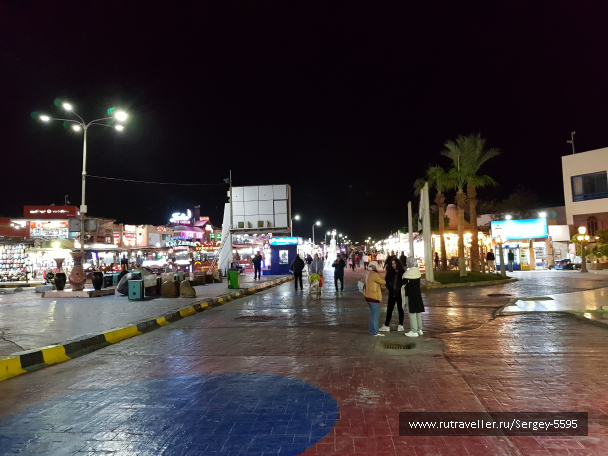 photo 1874309