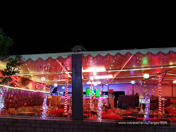 photo 1876480