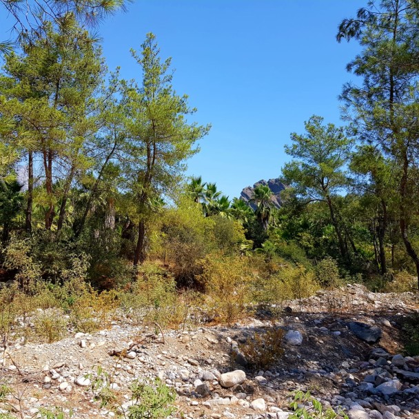 photo 1946798