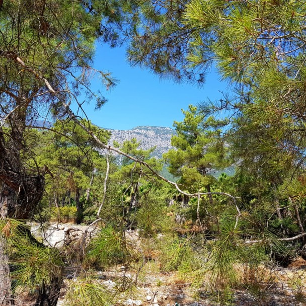 photo 1946931