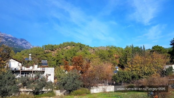 photo 2155020