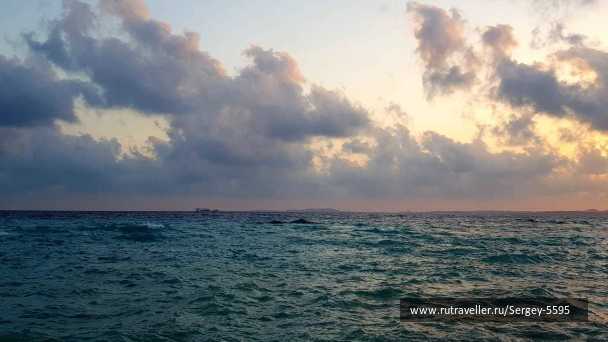 photo 1985187