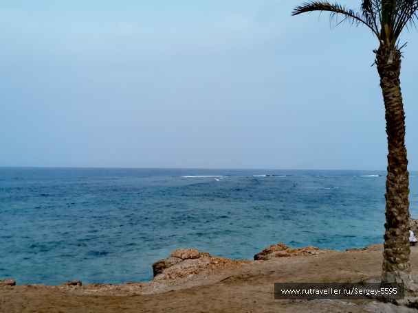 photo 2016421