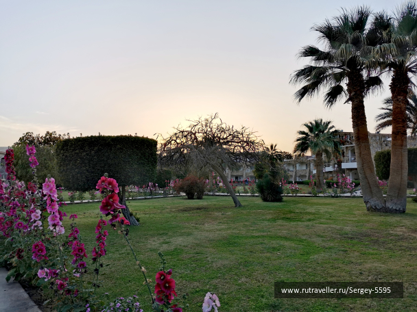 photo 2092064