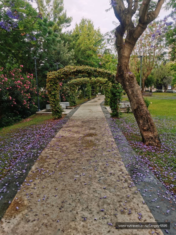 photo 2129566