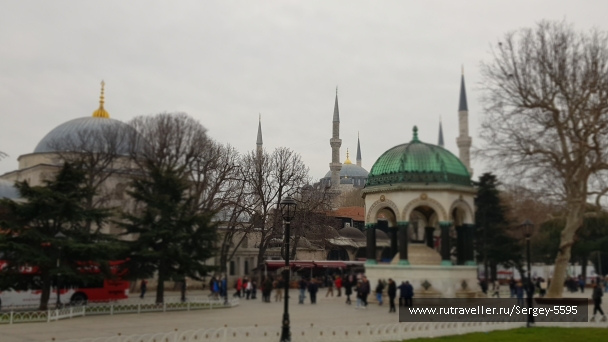 photo 2156707