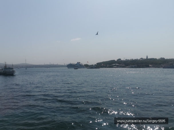 photo 2155240