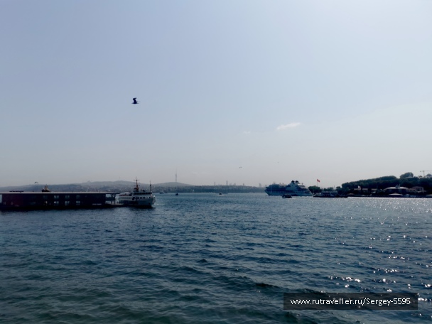 photo 2161549